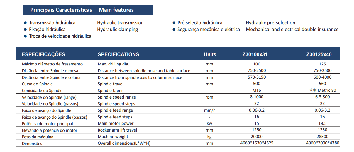 Z30100x31 Especificações